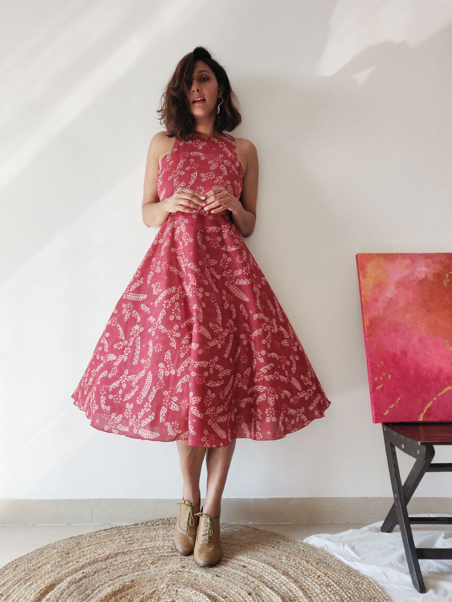 Plum Bloom - Why So Blue